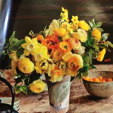 yoga nidra houston meditation relaxation stress release well being nourishment justine fanarof sama