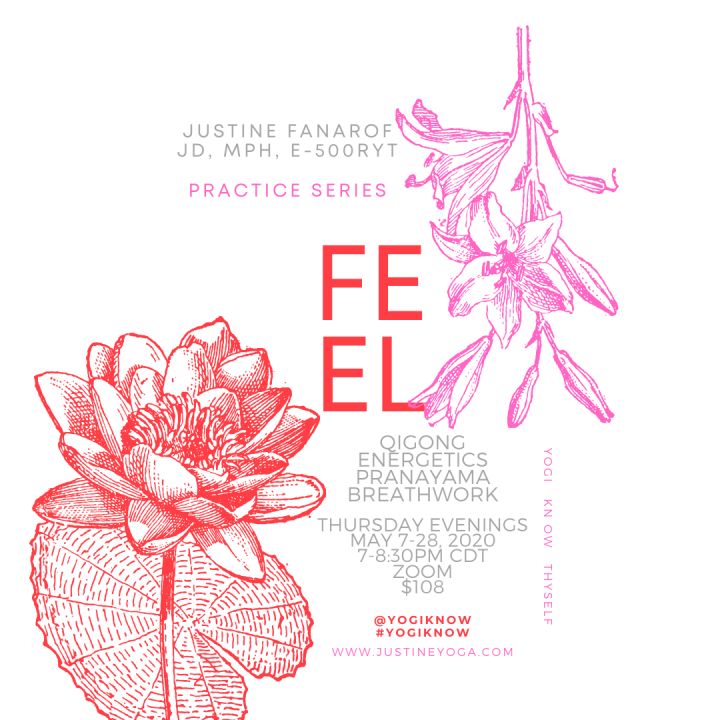 energetics pranayama qigong breathwork yoga meditation practice series may 2020 houston tx online zoom yoga justine fanarof teacher trauma informed